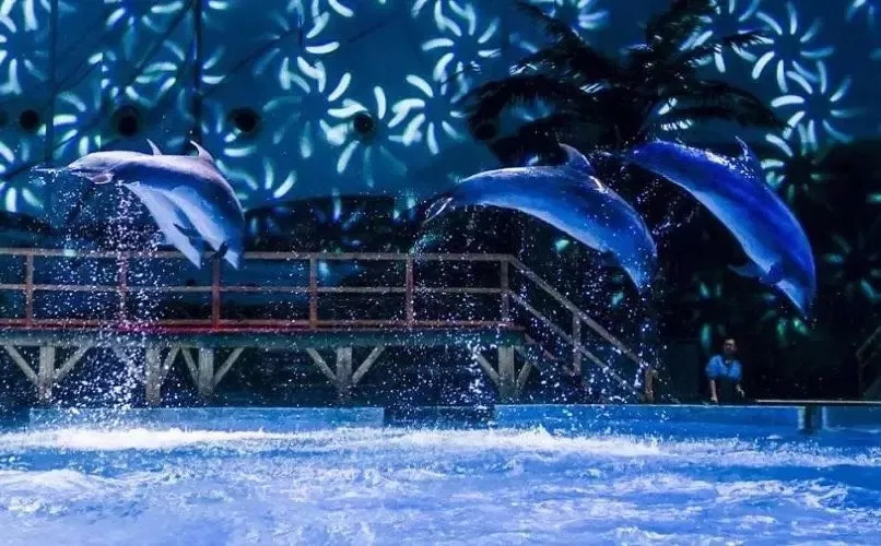 快来抢！35万张湖北热门景区门票免费送啦