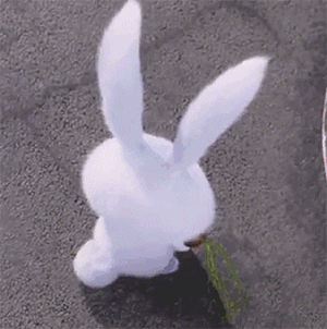 ΪʲôһױϣҲܲһЩ