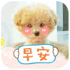 早晨祝福图片带字图片 早安问候动态表情