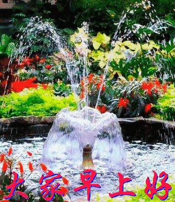 早上好表情包动态图片,早上好图片精选!