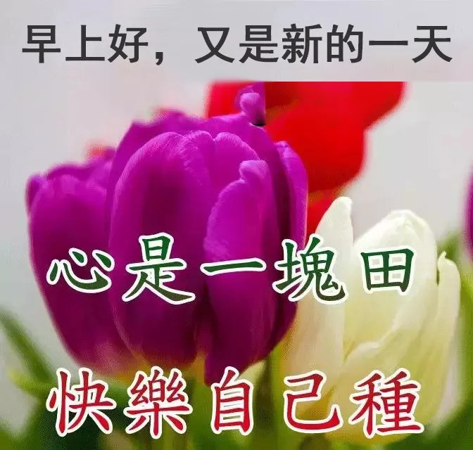 2月11清晨早安问候动态表情图片,最美早上好祝福语