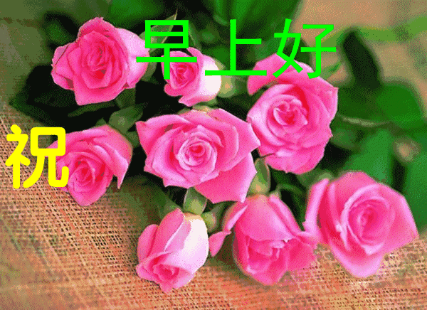 周二早上好图片,微信早晨好表情动态图