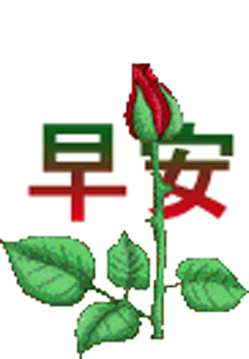 早上好表情包 早安鲜花图片问候语分享