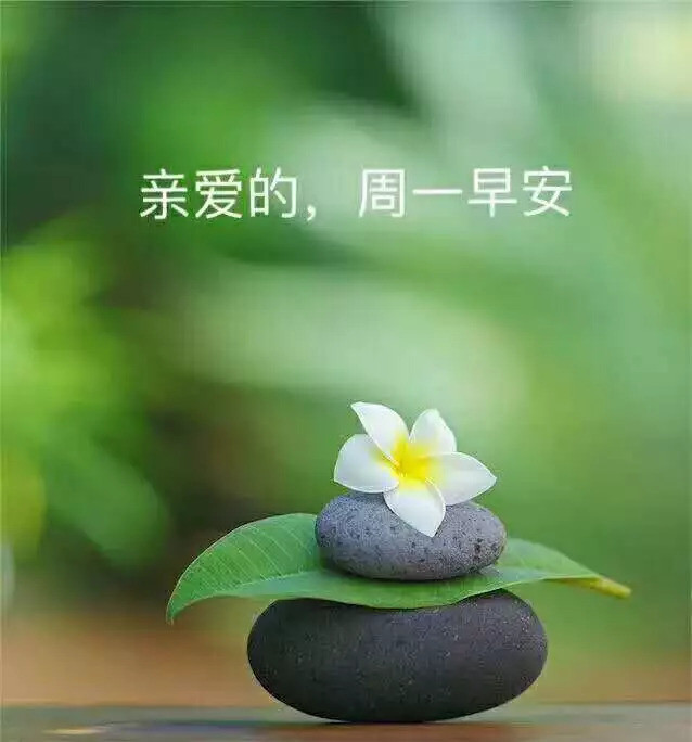 9月17日朋友圈早安素材