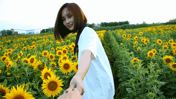 壁纸 成片种植 风景 花 植物 种植基地 桌面 560_315 gif 动态图 动图