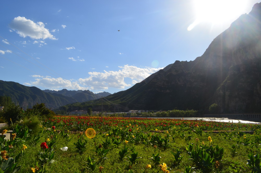 京:一群美女进入京西百度,每年都要涞易涞_大