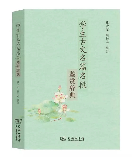 初中数学试讲教案模板_初中文言文教案模板_试讲教案模板初中美术