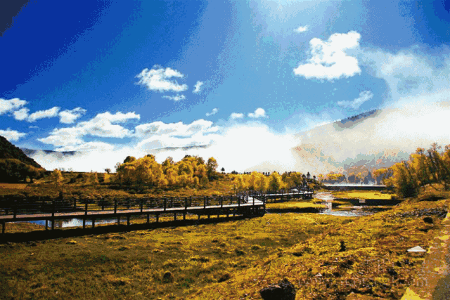 为大美云南点赞