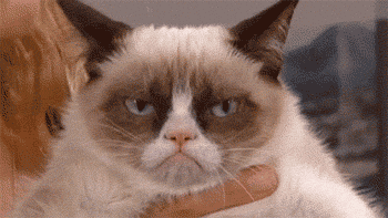大家都熟悉的不爽猫(grumpy cat),原名叫叫塔妲·索斯.