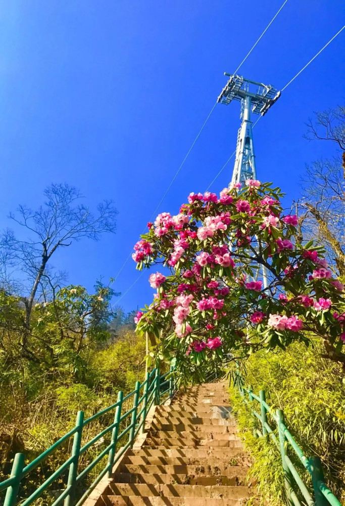 瓦屋山景区成功创建国家4a级旅游景区!