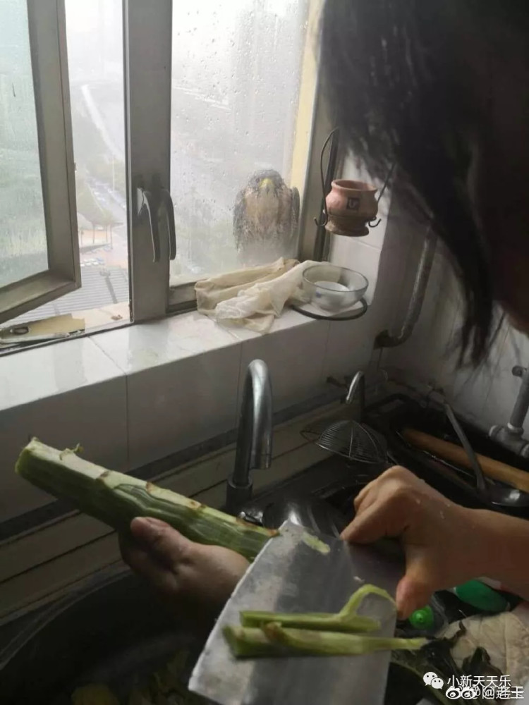 把它炖了吧 快乐时光,要懂得分享身边的人,动动小手分享到你的朋友圈!
