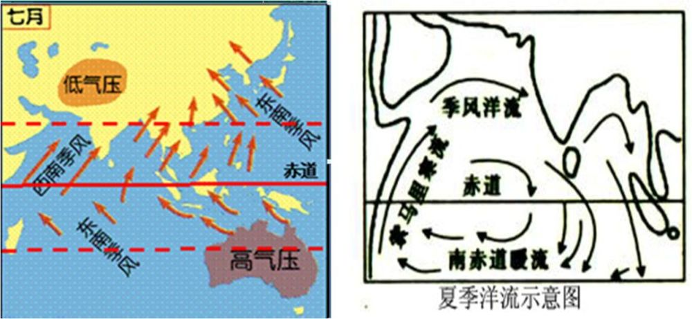 1,热带季风气候的夏季风 夏半年,南半球的东南信风向北越过赤道,偏转
