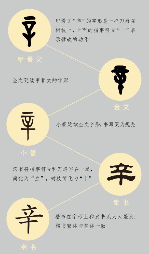 汉字小传五味之 辛 看点快报