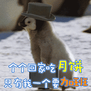 各个个回家吃月饼,只有我一个要加班