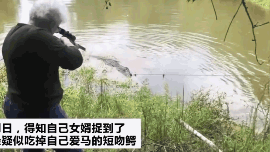 不过,这条500多斤的巨物,并非普通的河中野鱼,即使上钩被捕,依然凶恶