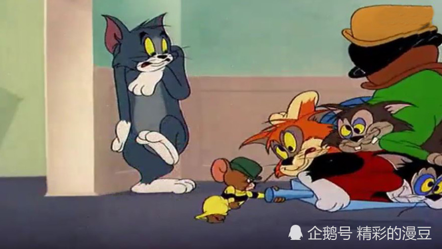 猫和老鼠:最强"老鼠",汤姆打电话叫猫也不好使,猫见它