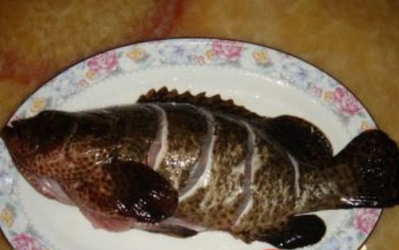 国内最好吃的5种鱼,很多人都没听过,全吃过的