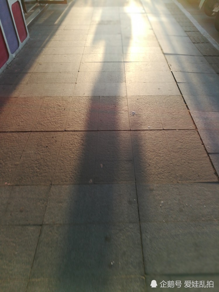 夕阳下地上的影子