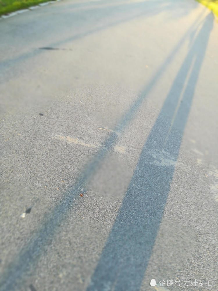 夕阳下地上的影子