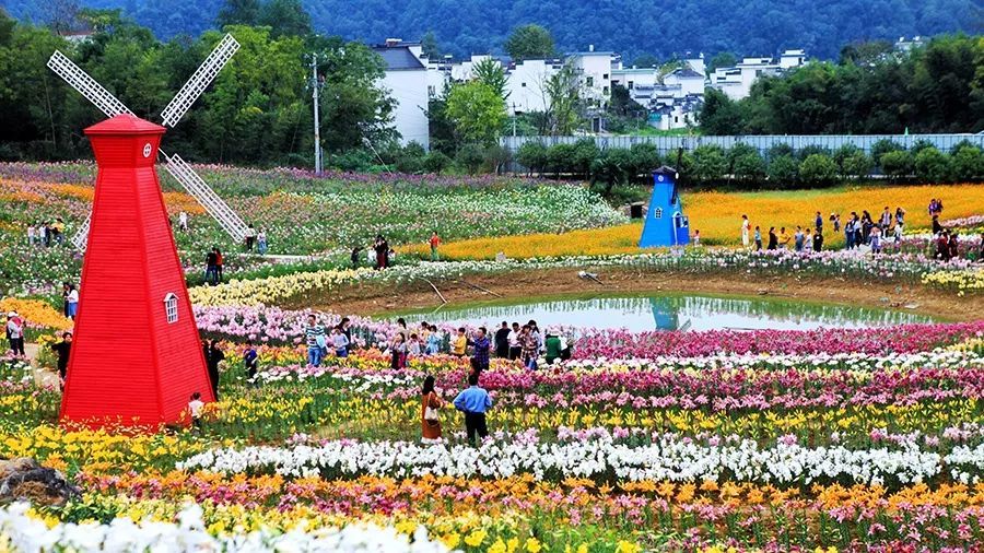 西递石林滑草场新增彩虹滑道 地址:黟县西递石林景区