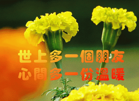 漂亮早上好动态图片带字 2019最新最美早上好表情图片