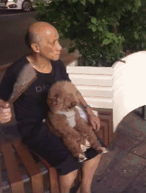 泰迪:什么?有镜头,那我还是笑一个吧.