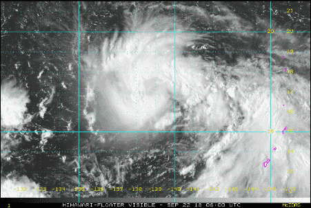 卫星云图 451_302 gif 动态图 动图