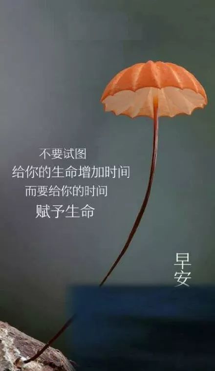 发朋友圈正能量励志唯美句子 温馨说说句子七月再见