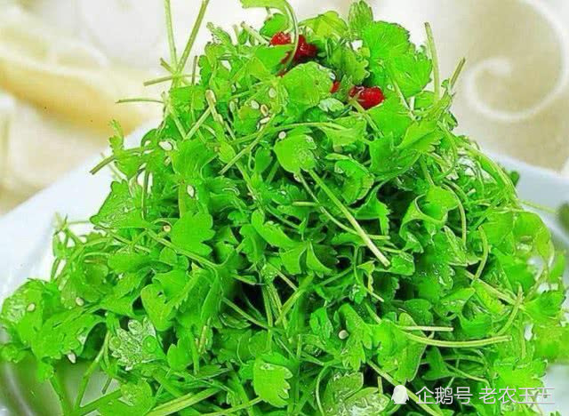 为什么它价格暴涨还有这么多人抢着买?竟还有