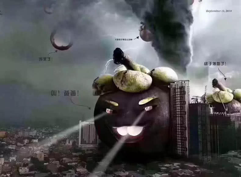 要不是因为台风,都不知道广东人这么搞笑