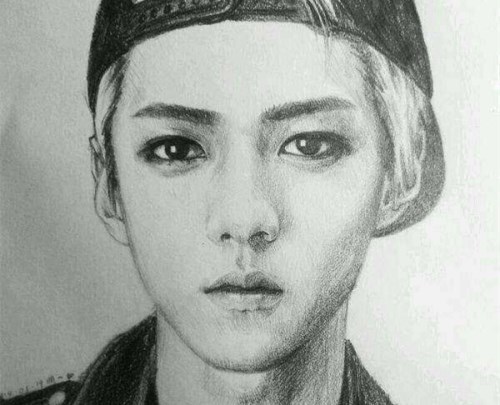 明星素描画,张曼玉像女巫,吴亦凡脸太长,而图五