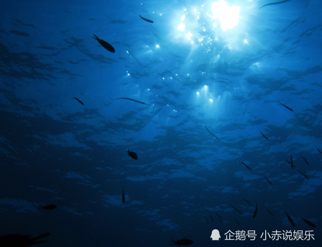 海底,鲨鱼,阳光,深海,深海恐惧症