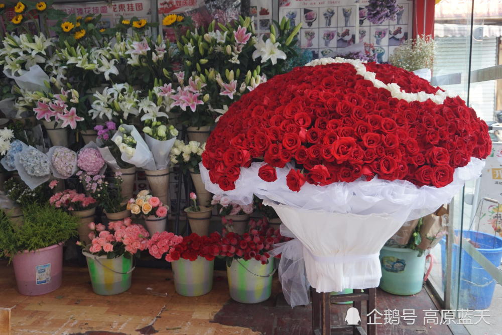 一束玫瑰重达百余斤 价格不菲 不知花落谁家 看点快报