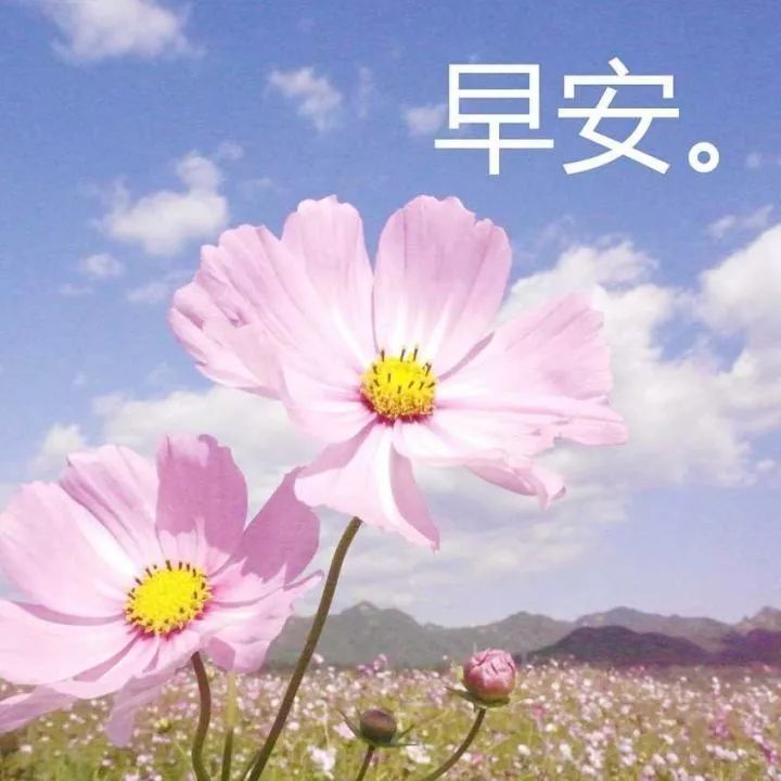 新的一周早安心语励志精辟语句
