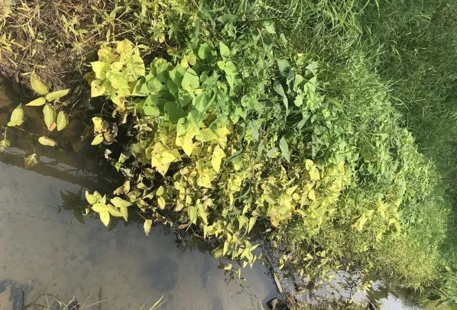 南靖一男子殴打手无缚鸡之力的女人,竟然是因