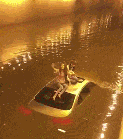 搞笑gif图片:隔着屏幕都能感受到女生的快乐