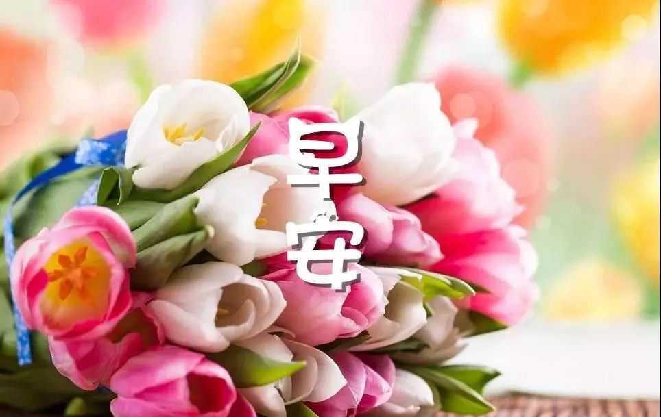 最新早安问候图片鲜花带字 新的一天早安精美语句说说