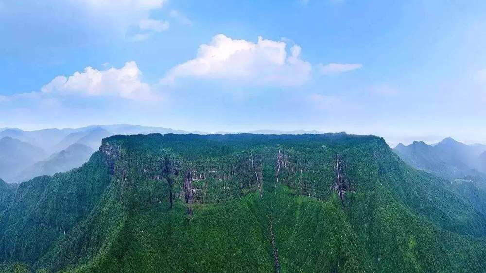 峨眉姊妹山,道家鸽子花,洪雅瓦屋山