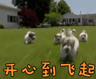 不过,放长假大家都懂的, 很多时候都是这样子的…… 景区是这样的