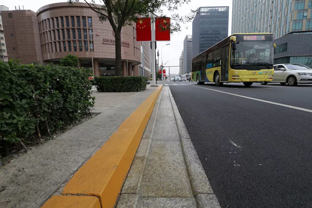 这些地儿都是禁停路段 随便停车要挨罚 车里有