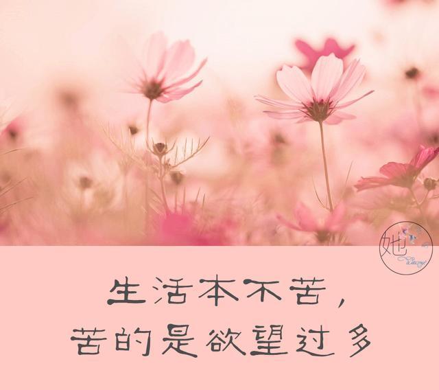 生活本不苦,苦的是欲望过多;心本无累,累的是放不下,精辟