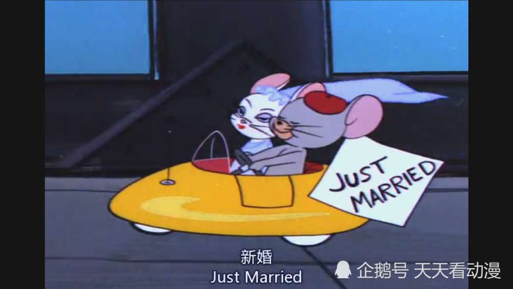 汤姆,白猫,猫和老鼠,高富帅,看不懂