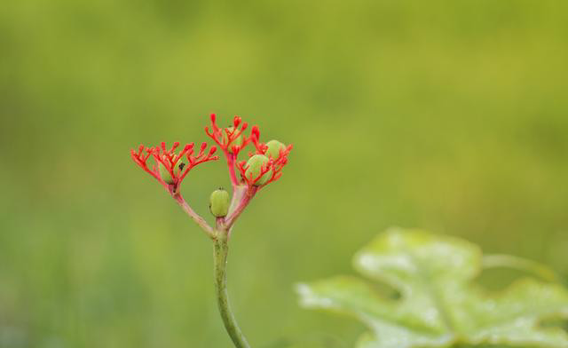 一个工作态度不端正的人,迟早会落到这5种下场