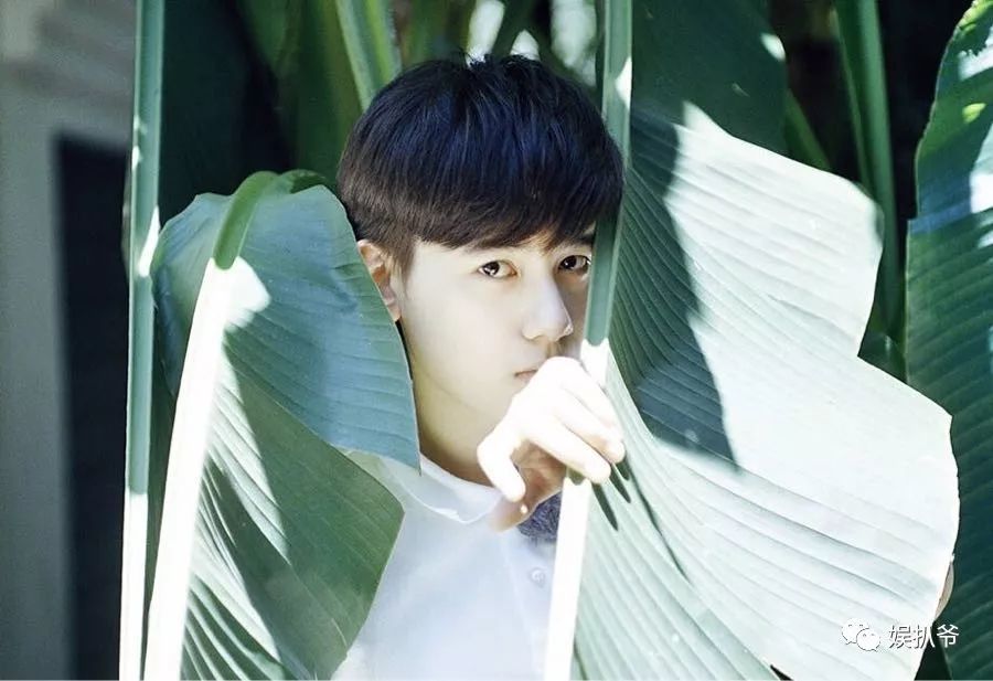 胡先煦公布恋情影响发展?邓伦为什么不回关杨