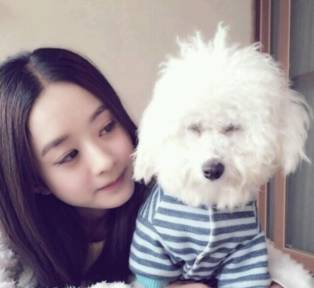 赵丽颖微博晒出自己开卡丁车遛狗视频,表明自