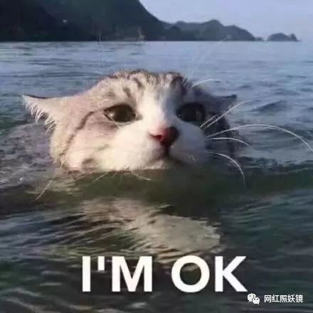 坐拥价值1.7亿豪宅的真白富美，做网红卖衣服却零销量真凄惨…