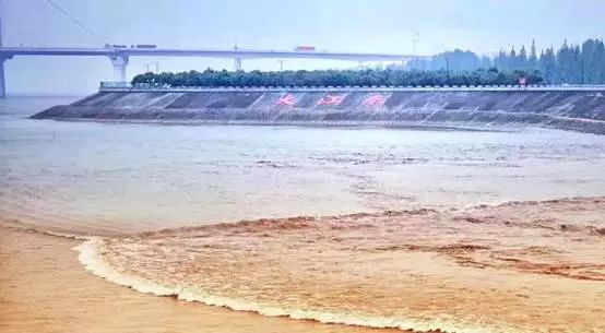 今年能看到钱塘大潮吗?央视在大江东直播,观潮