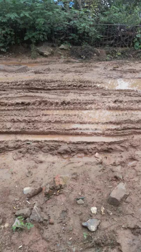 西充这个乡镇的街道好久修得好?下雨天群众出