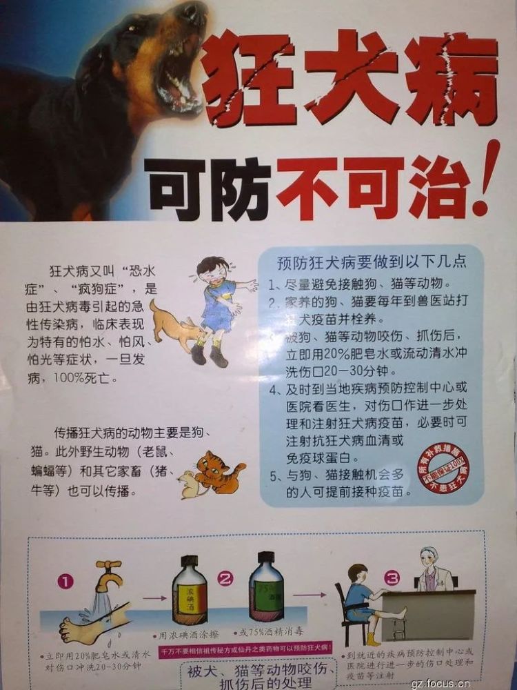 伤口处理后应进行狂犬病疫苗注射.