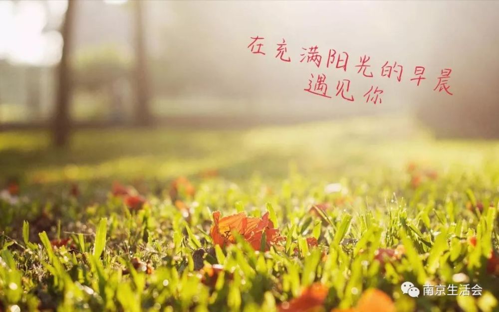 你所向往的明天,是阳光依旧升起的早晨
